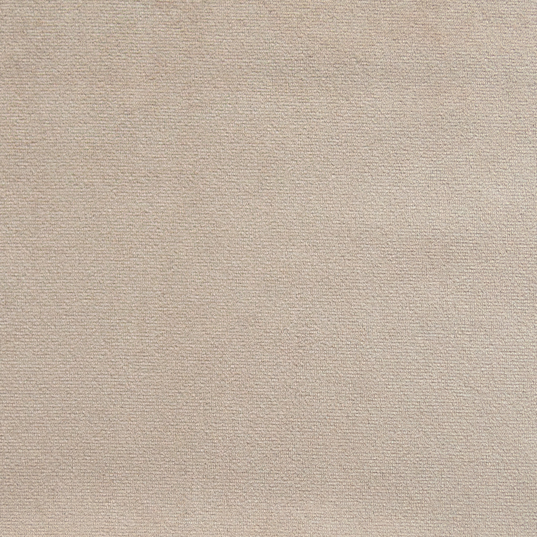 Beige Plush Velvet