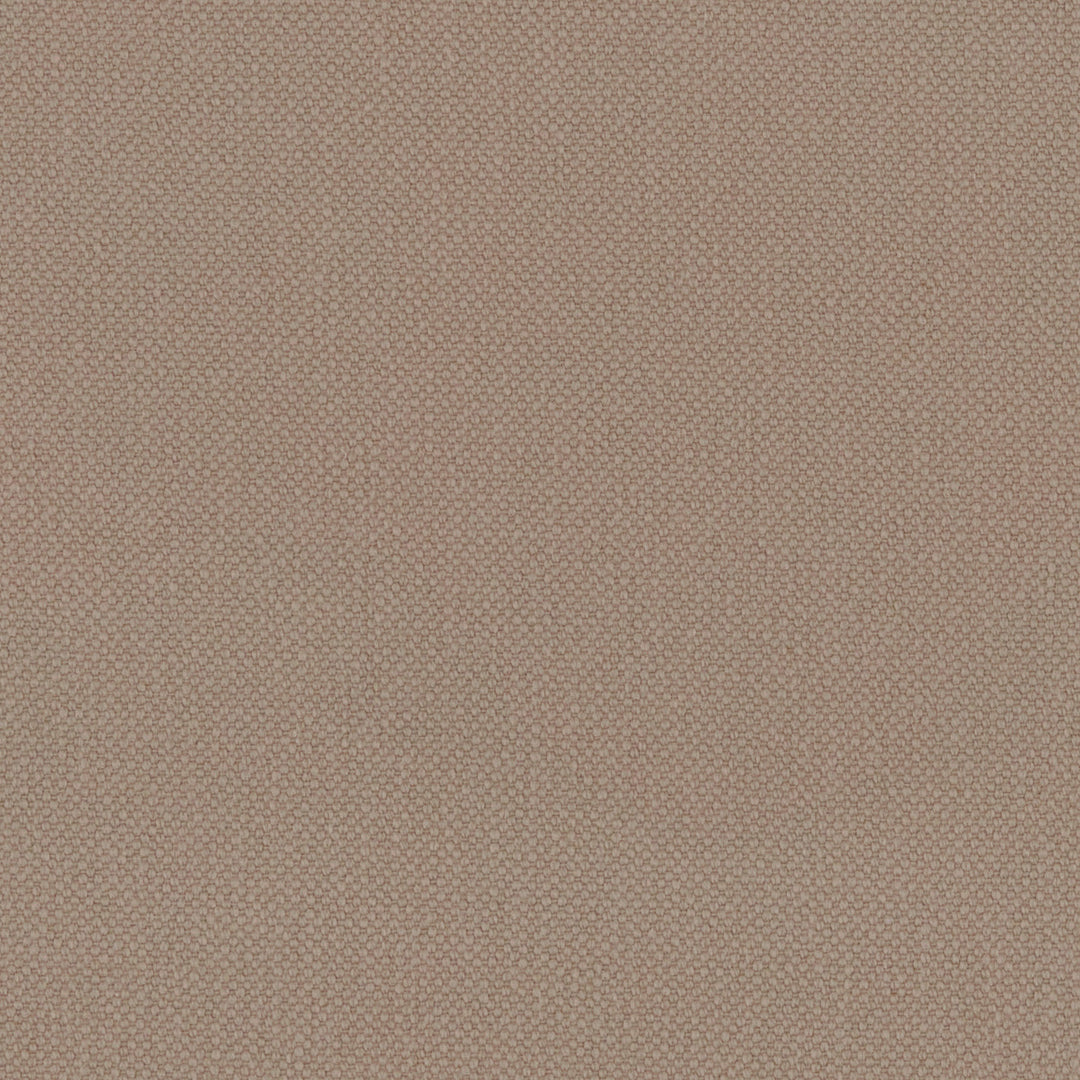 Desert Oxford Cotton