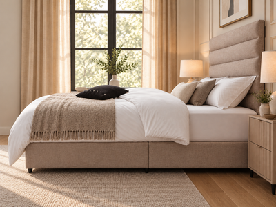 Premium Upholstered Standard Divan