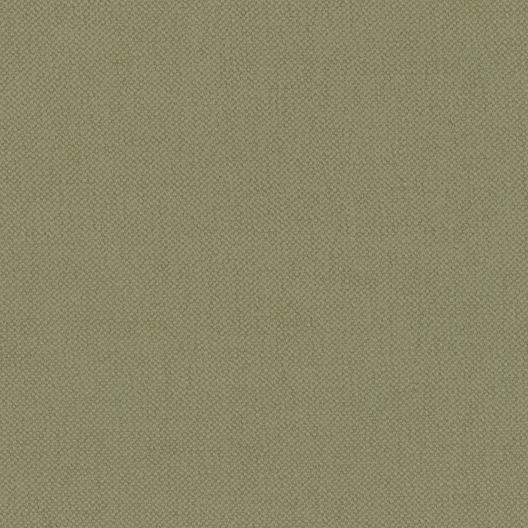 Celery Oxford Cotton
