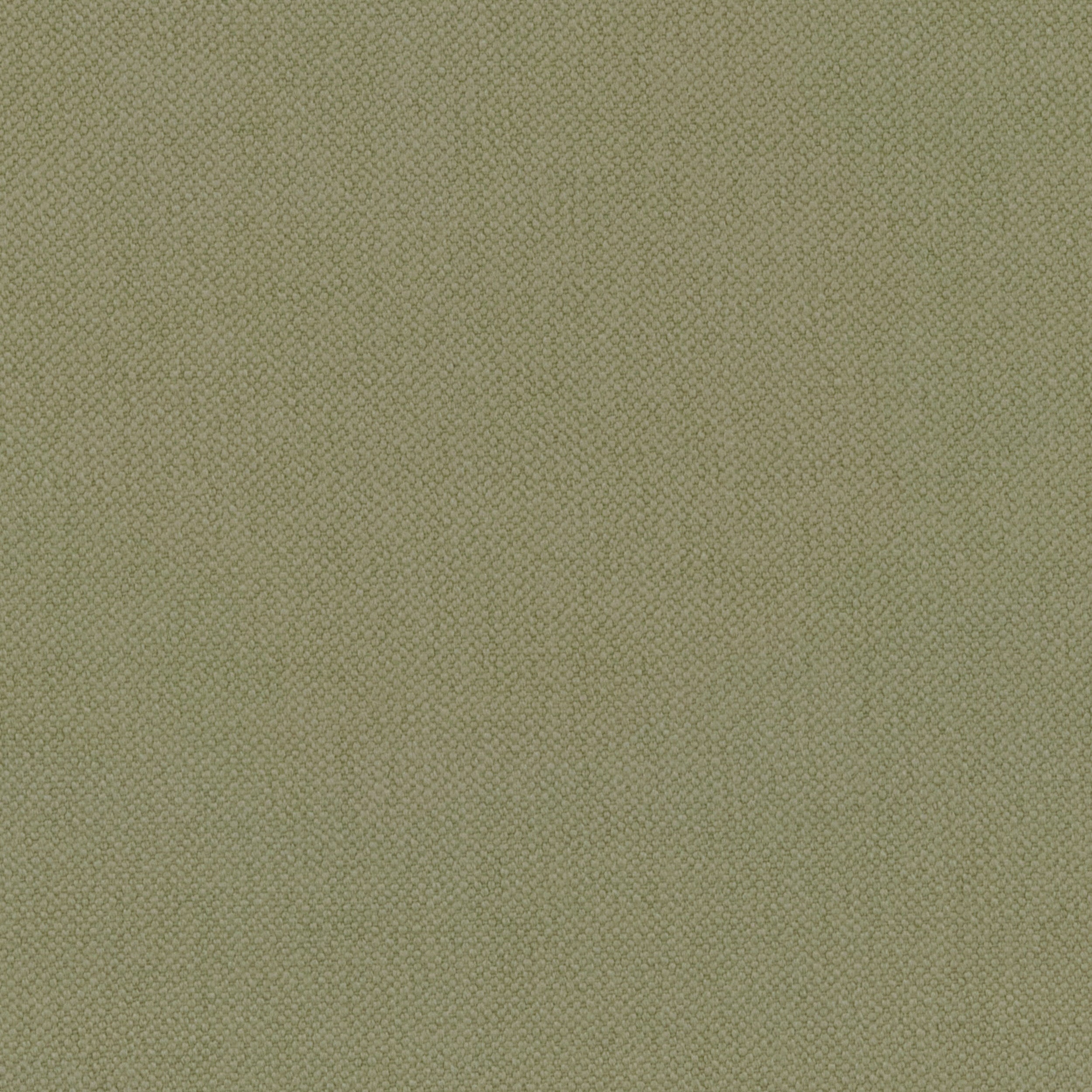 Celery Oxford Cotton