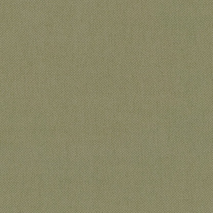 Celery Oxford Cotton