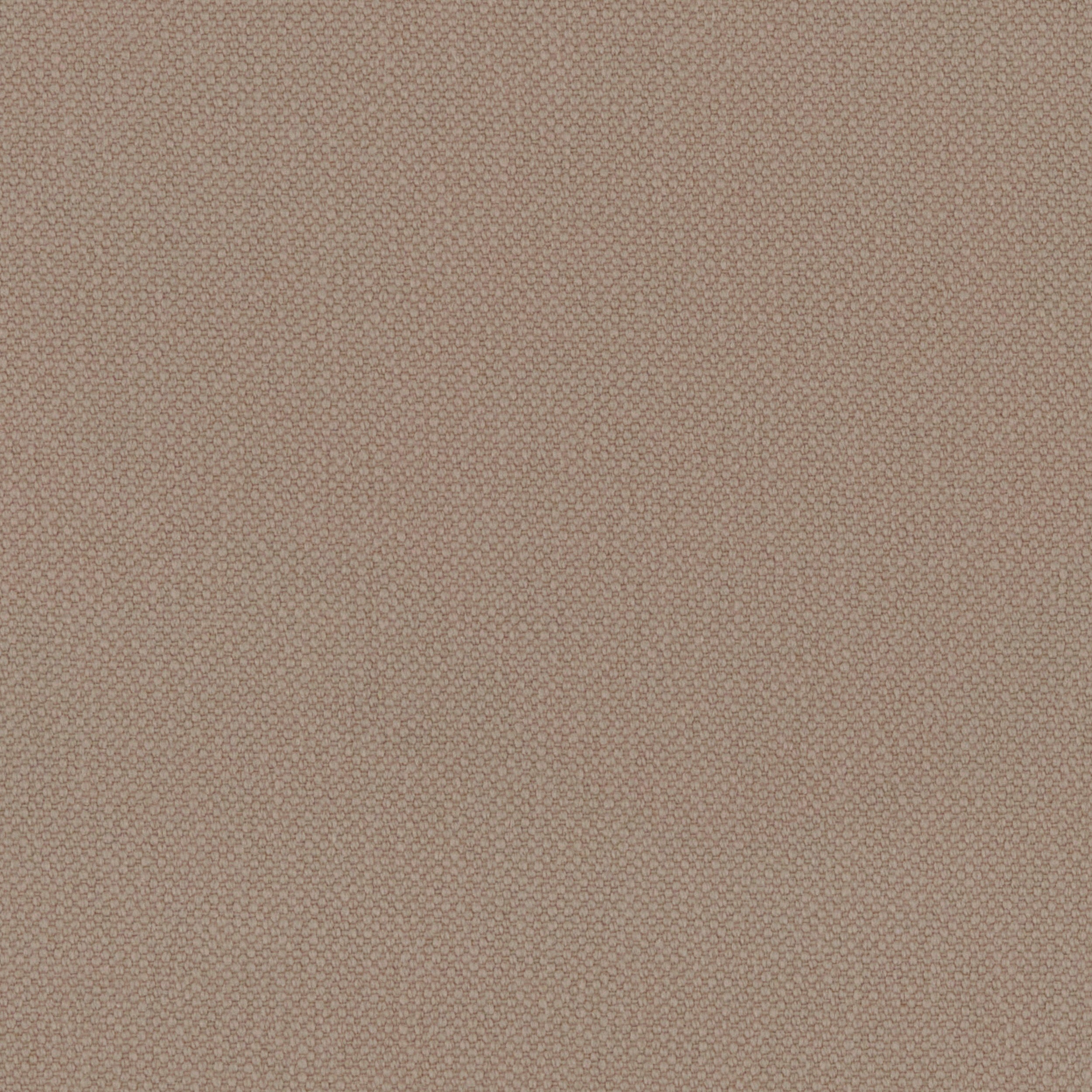 Desert Oxford Cotton