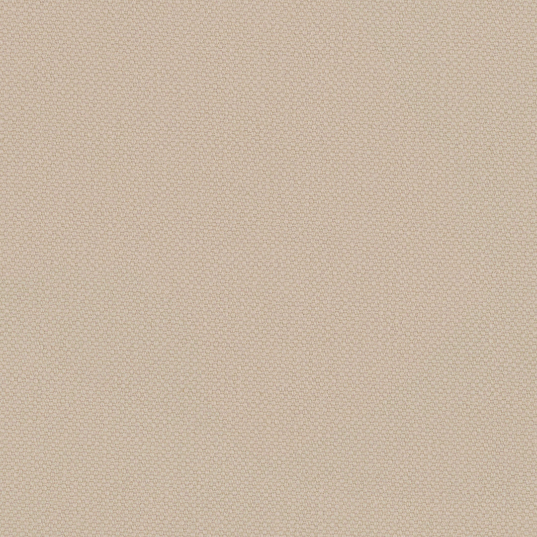 Ecru Oxford Cotton