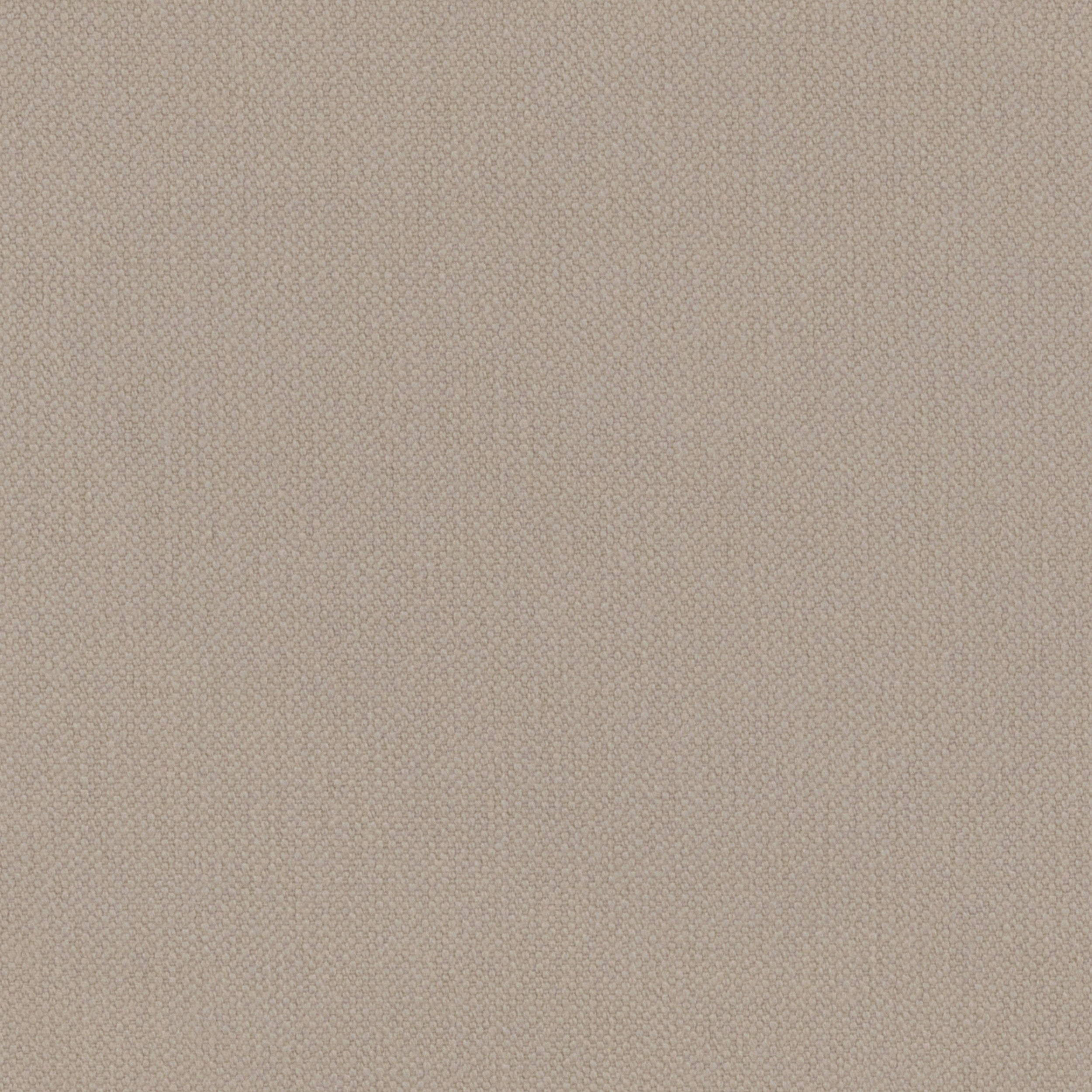 Natural Oxford Cotton