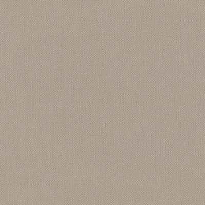 Natural Oxford Cotton